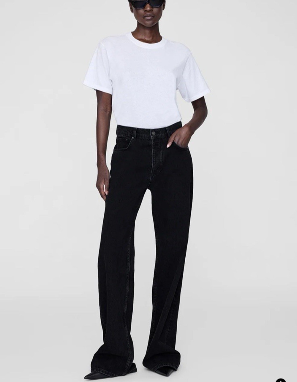 Anine Bing Hugh Wide Leg Jeans Vintage Black Size 27 NWT Premium Denim